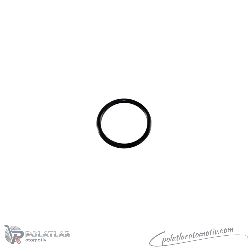 TERMOSTAT CONTASI I.E BSG 75-116-008 8200267272