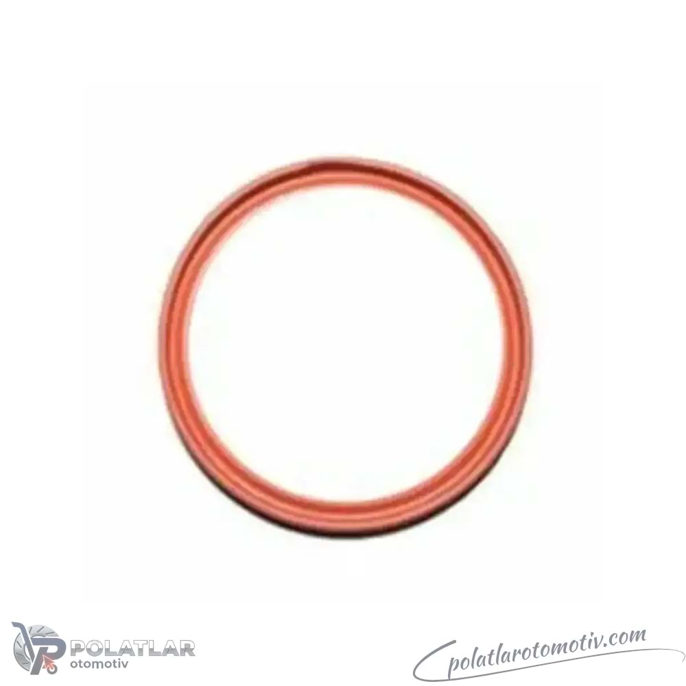 TURBO HORTUMU CONTASI FPM (RED) BSG 75-116-015 7701071156