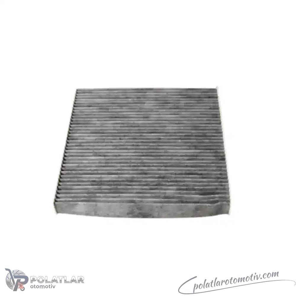 POLEN FILTRESI BSG 75-145-018 272774711R