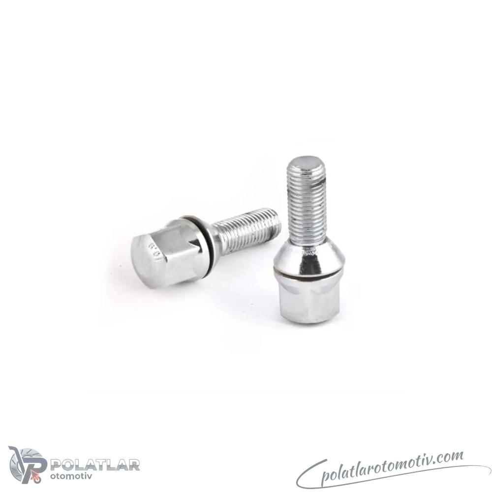 BIJON SAPLAMASI BIJON CIVATASI PULLU CINKO BEYAZ BSG 75-230-005 8200058101