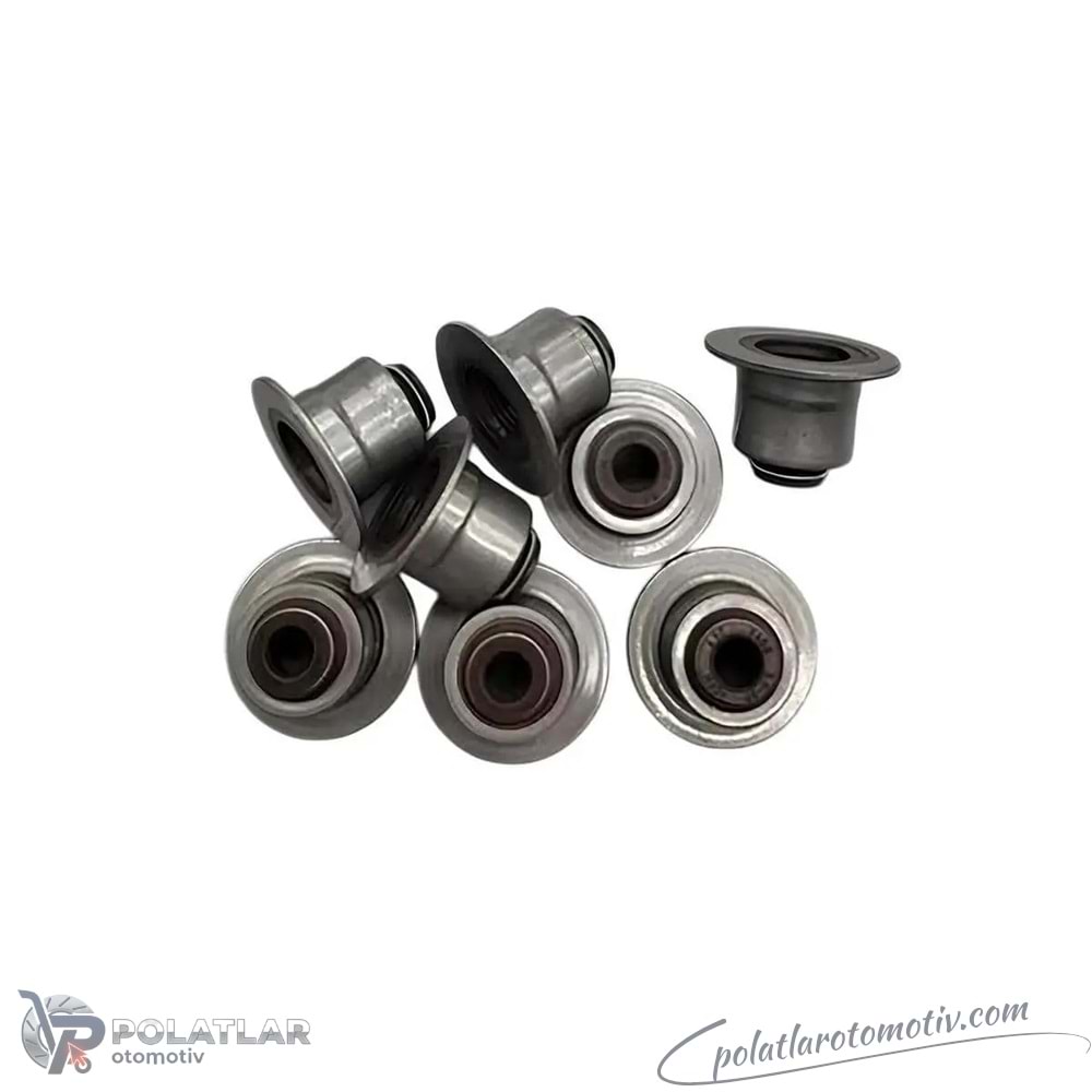 SUPAP LASTIGI TAKIMI 6MM (1 KIT= 8 ADET) COR 19036741 8200496321