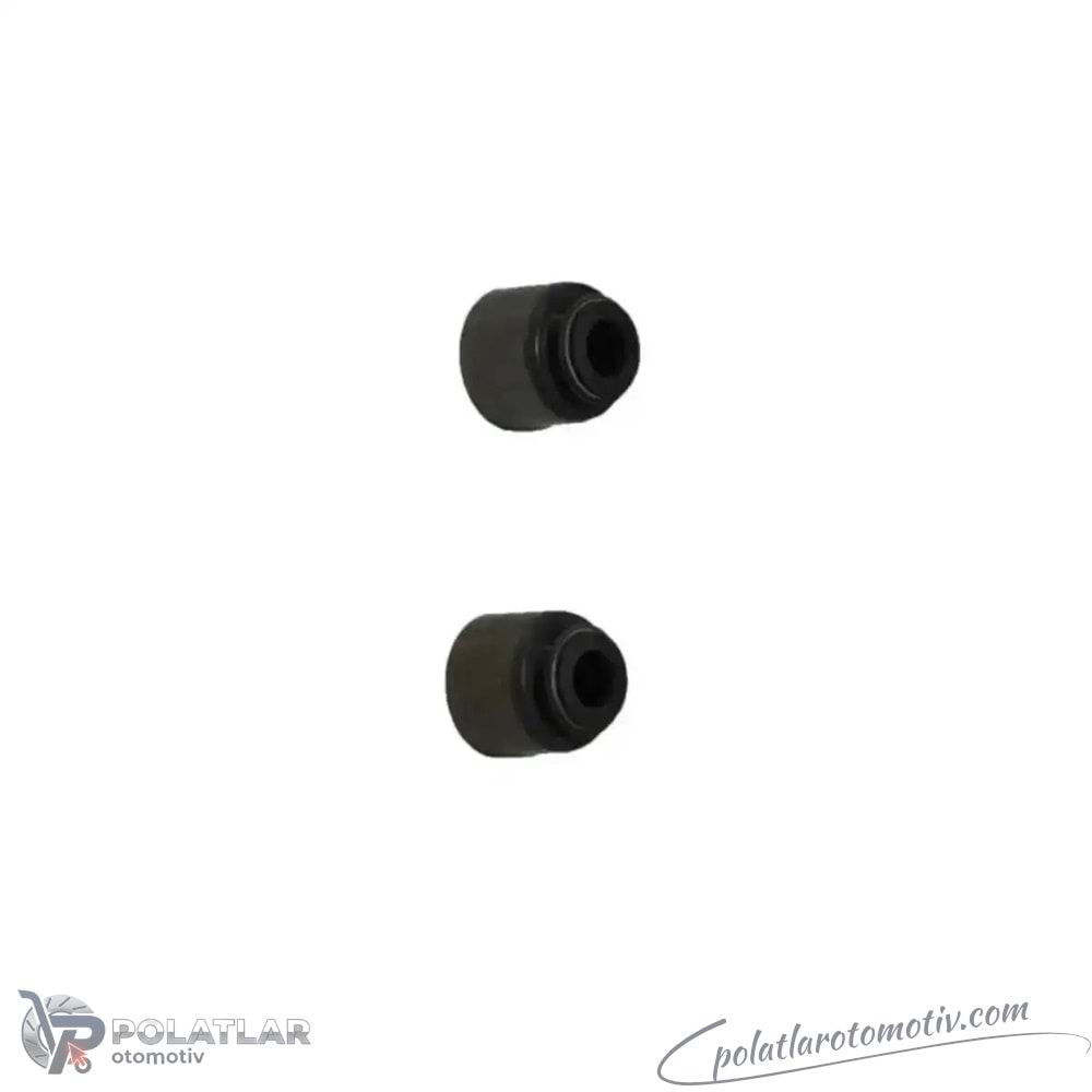 SUPAP LASTIGI 5,5X9,5X11.8X11 COR 49444563 132076485R
