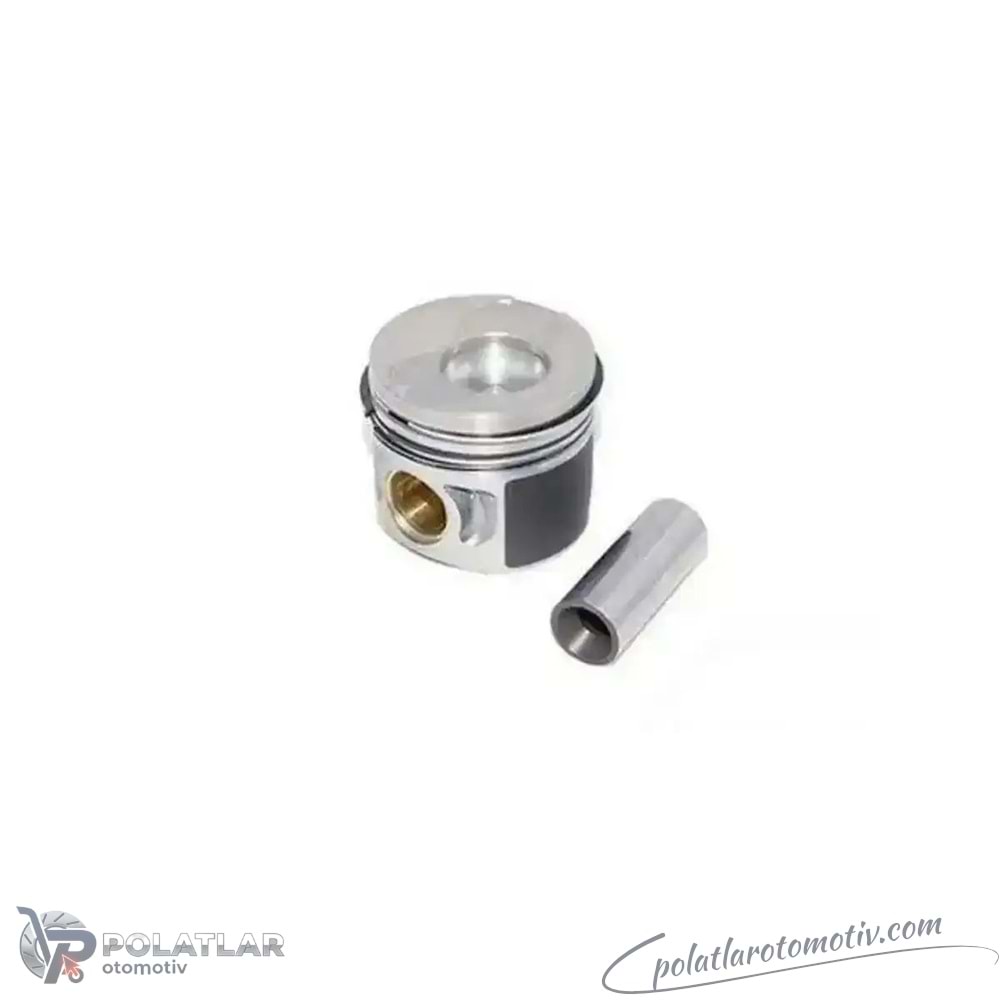 PISTON+SEGMAN 69MM:STD (D7F) FM 87-71955 STD 8771955