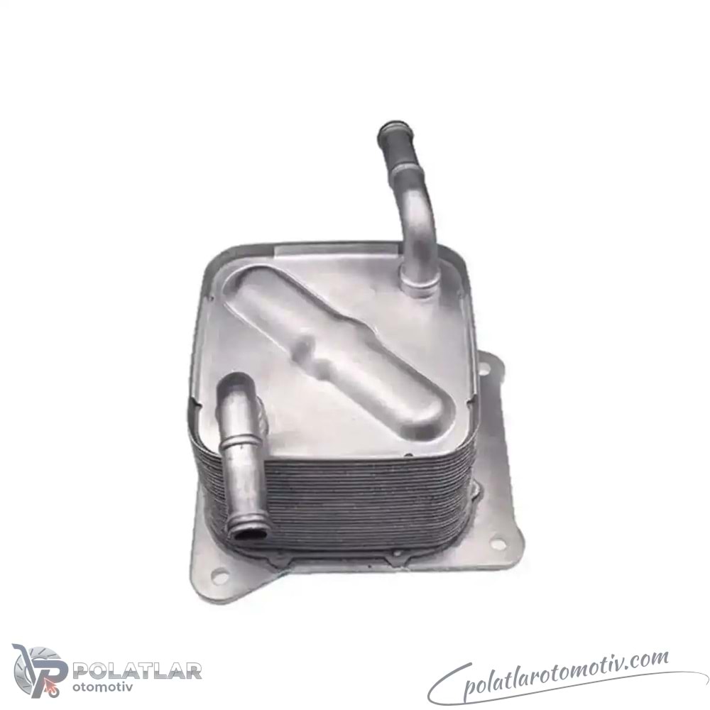 YAG SOGUTUCU OTOMATIK SANZIMAN KAL 379720 216063JX0B