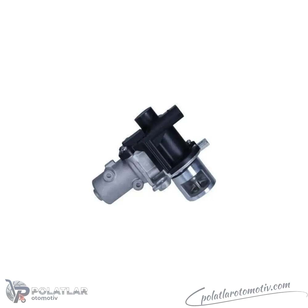 EGR VALFI NRF 48386 200270177