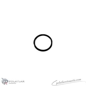 TERMOSTAT CONTASI I.E BSG 75-116-008 8200267272