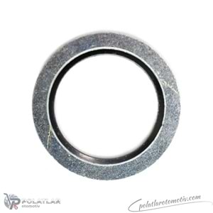 KARTER TAPA PULU METAL BSG 75-116-062 7700266044