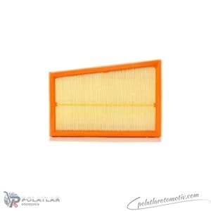 HAVA FILTRESI BSG 75-135-022 165466131R