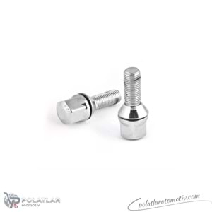 BIJON SAPLAMASI BIJON CIVATASI PULLU CINKO BEYAZ BSG 75-230-005 8200058101