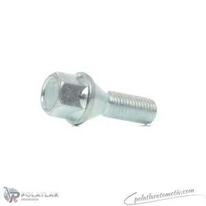 BIJON SAPLAMASI BIJON CIVATSI Y.M. DELIKLI TIP BSG 75-230-008 8200473353
