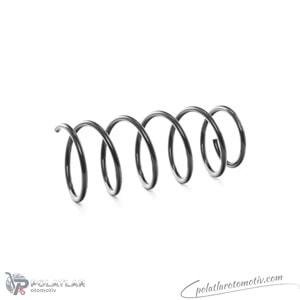 HELEZON YAYI ON BSG 75-305-023 7700800994