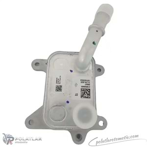 YAG SOGUTUCUSU TEK KARTUS BSG 75-506-015 213053566R