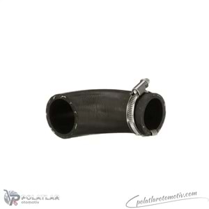 TURBO BORUSU PLASTIK BORU HARIC BSG 75-720-229 8200715610