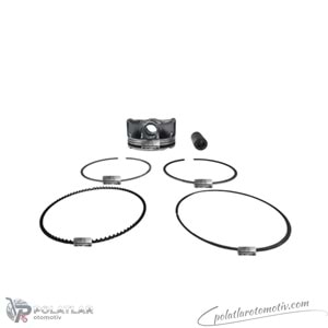 PISTON+SEGMAN (STD) 71MM FM 87-71981 STD 120A12678R