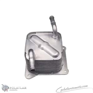 YAG SOGUTUCU OTOMATIK SANZIMAN KAL 379720 216063JX0B