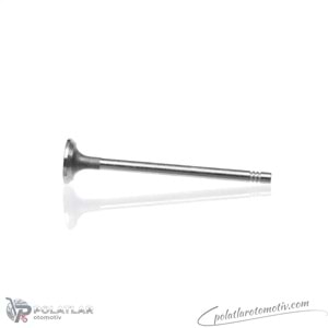 SUPAP GAYDI R9M OZG TVG2843-1 132010370R