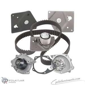 TRIGER SETI+DEVIRDAIM SKF VKMC 06127 119A01877R