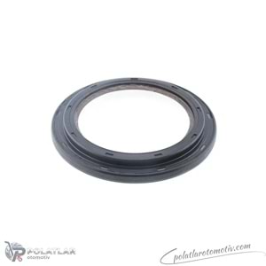 KRANK KEÇESI ARKA (84X117X7.5) SKT 410531-FP 122793304R