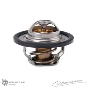TERMOSTAT 89 °C VRN TH6047.89J 7700272554